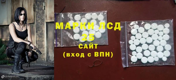 spice Богданович