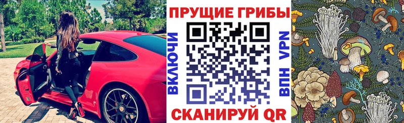 Галлюциногенные грибы Psilocybe  Альметьевск 